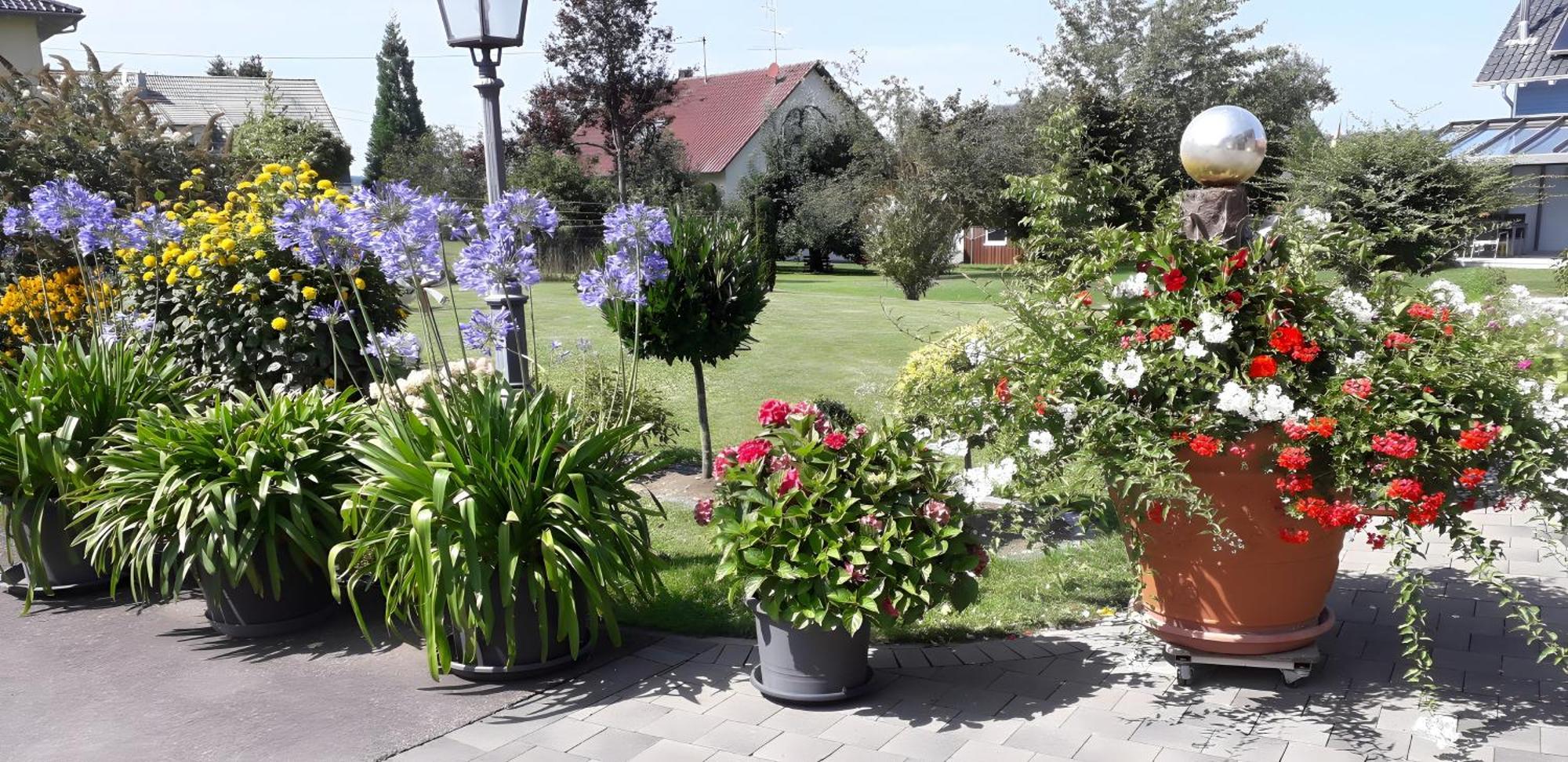 Apartmán Feriendomizil Berta Benzingen Winterlingen Exteriér fotografie